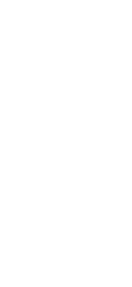 20th anniversary logo site